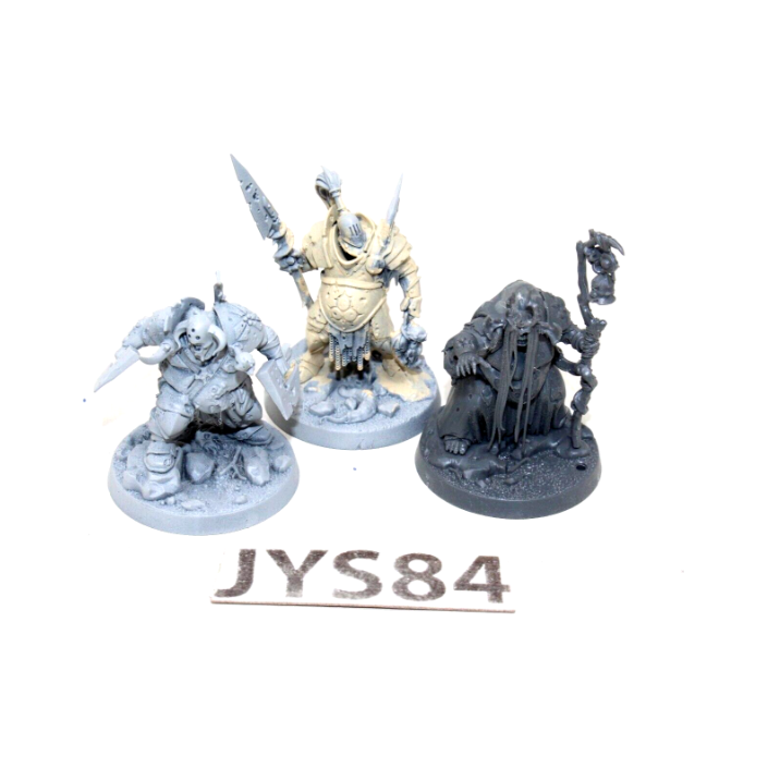Warhammer Warriors of Chaos Maggotkin of Nurgle The Wurmspat JYS84 - Tistaminis