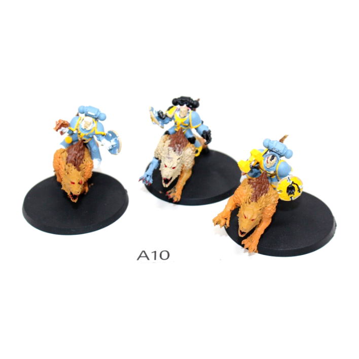 Warhammer Space Wolves Thunderwolf Cavalry A10