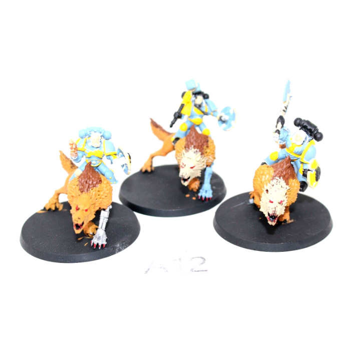 Warhammer Space Wolves Thunderwolf Cavalry A12 - Tistaminis