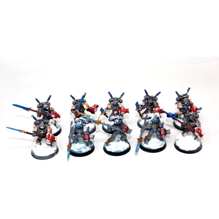 Warhammer Grey Knights Purifier Squad Well Painted JYS7 - Tistaminis