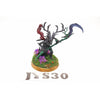 Warhammer Wood Elves Branchwych Well Painted - JYS30 - Tistaminis