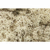 Woodland Scenics Lichen-Natural WOO166 - TISTA MINIS