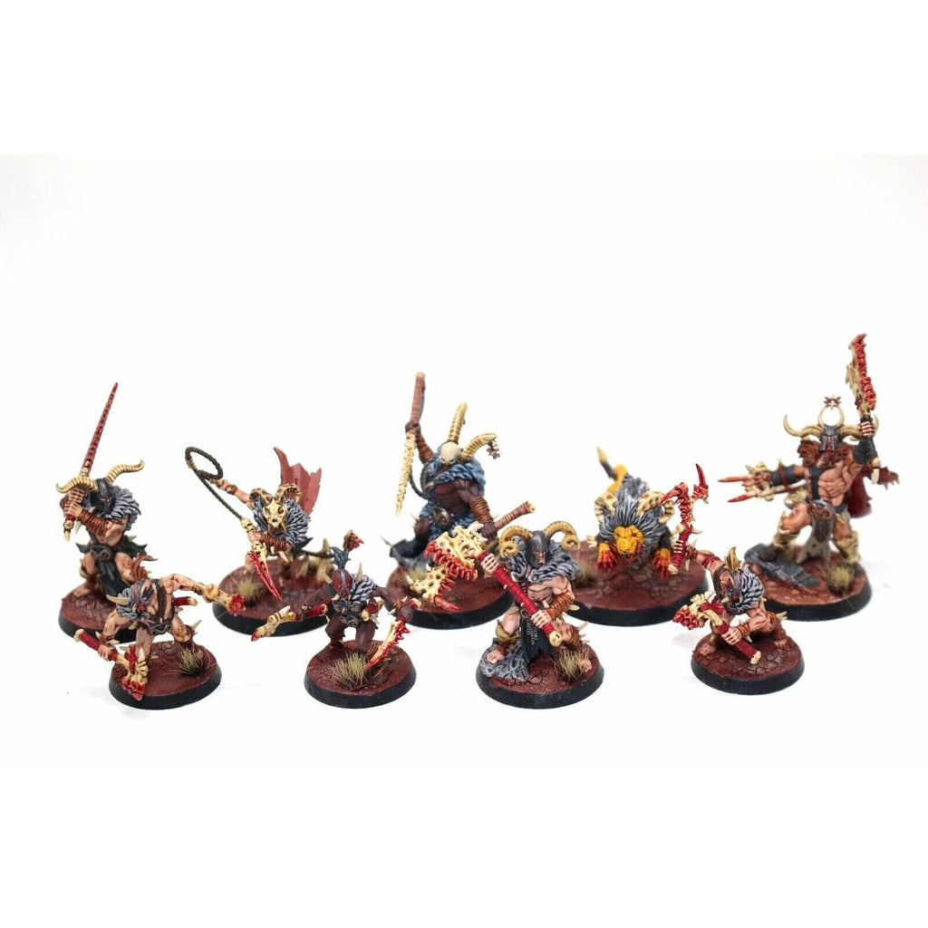 Warhammer Warriors Of Chaos Untamed Beasts Well Painted - JYS74 - Tistaminis