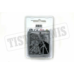 Warhammer Grey Knight's Brother Captain New - TISTA MINIS