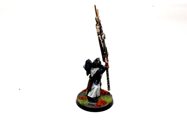 Warhammer Space Marines Bladeguard Ancient Well Painted A20