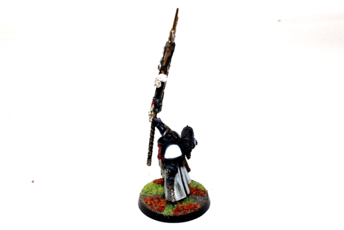 Warhammer Space Marines Bladeguard Ancient Well Painted A20