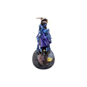 Warhammer Stormcast Eternals Lord Aquilor Well Painted JYS25 - Tistaminis