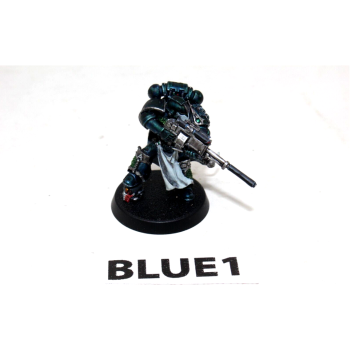 Warhammer Space Marines Legion Vigilator BLUE1