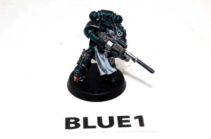 Warhammer Space Marines Legion Vigilator BLUE1