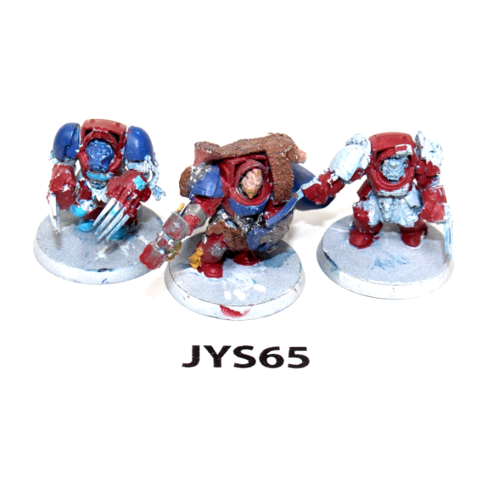 Warhammer Space Wolves Wolf Guard Terminators JYS65 - Tistaminis