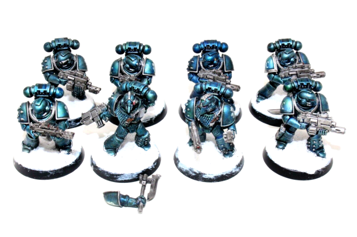 Warhammer Space Marines Tactical Marines Well Painted BLUE1