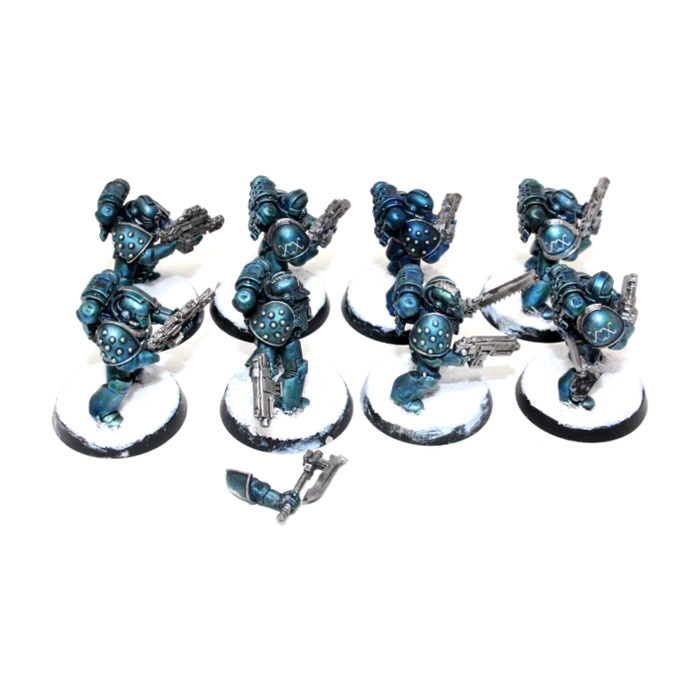 Warhammer Space Marines Tactical Marines Well Painted BLUE1