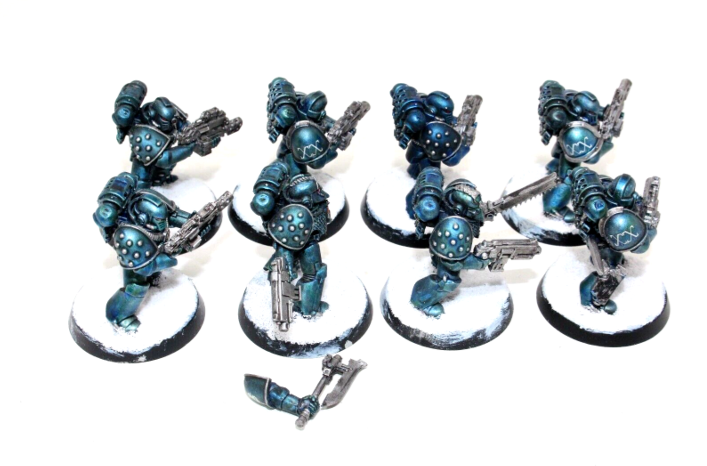 Warhammer Space Marines Tactical Marines Well Painted BLUE1