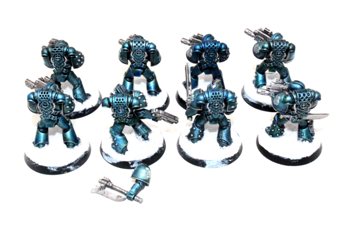 Warhammer Space Marines Tactical Marines Well Painted BLUE1