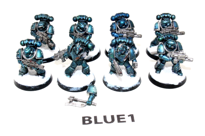 Warhammer Space Marines Tactical Marines Well Painted BLUE1