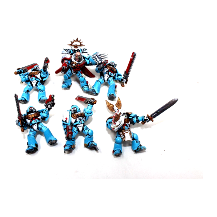 Warhammer Space Marines Tactical Squad Well Painted JYS65 - Tistaminis