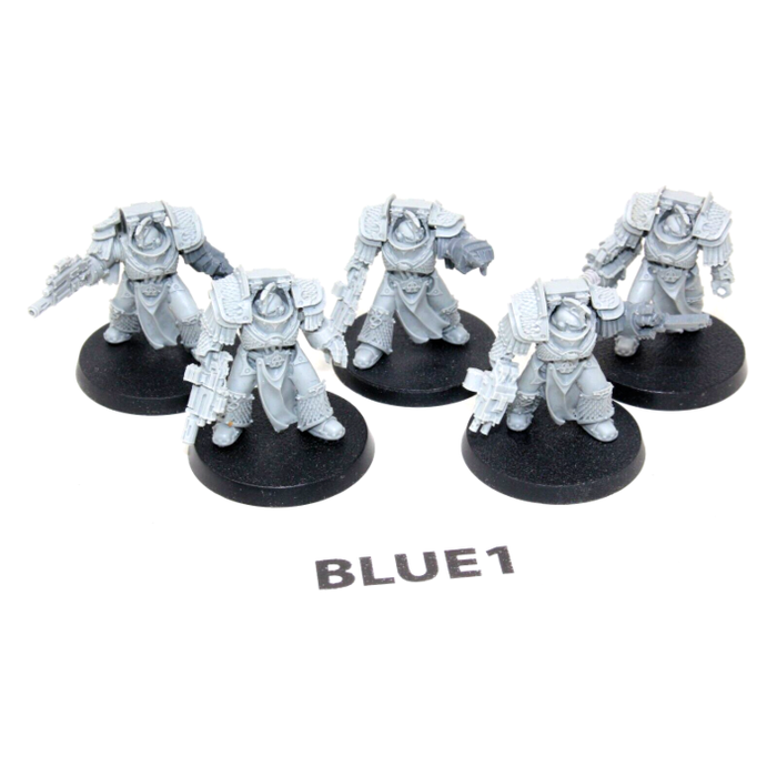 Warhammer Space Marines Lernaean Terminator Squad BLUE1