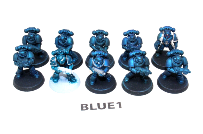 Warhammer Space Marines Tactical Marines BLUE1