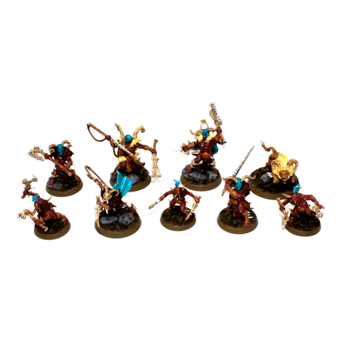 Warhammer Warriors of Chaos Warcry Untamed Beasts Well Painted JYS66