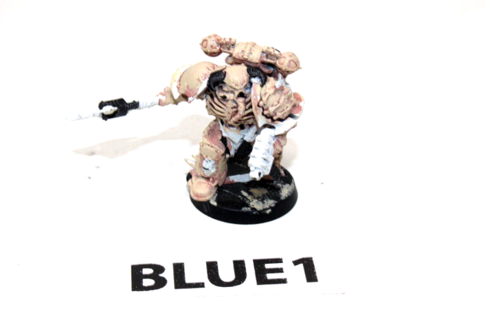 Warhammer Chaos Space Marines Chaos Lord BLUE1