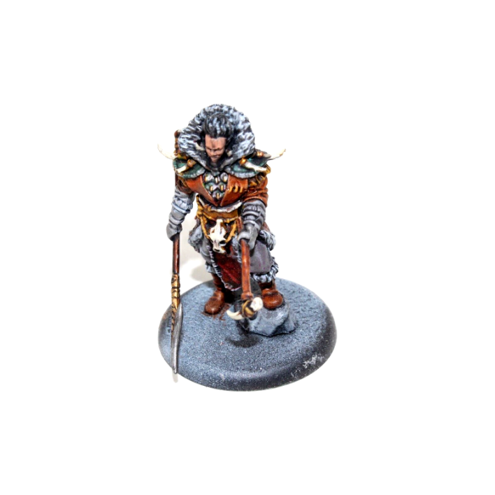 A Song of Ice and Fire Free Folk Jarl Well Painted A12