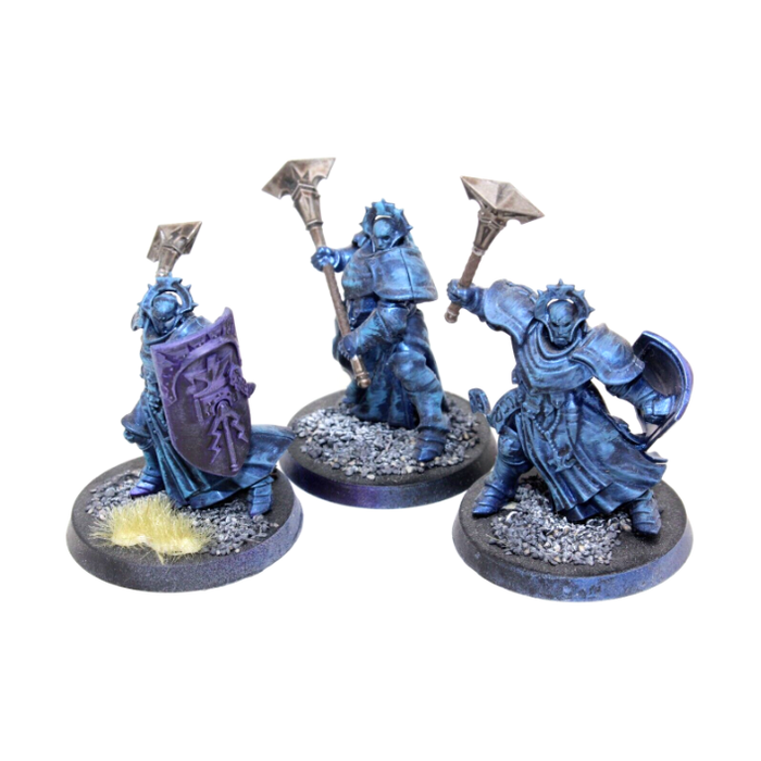 Warhammer Stormcast Eternals Sequitors Well Painted JYS27 - Tistaminis