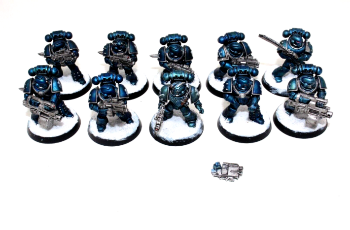 Warhammer Space Marines Tactical Marines Well Painted A1