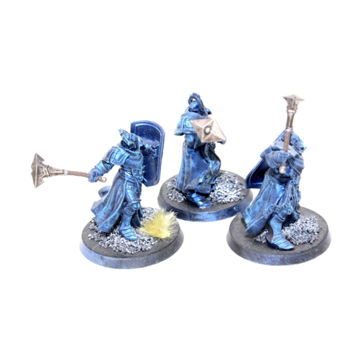 Warhammer Stormcast Eternals Sequitors Well Painted JYS27 - Tistaminis