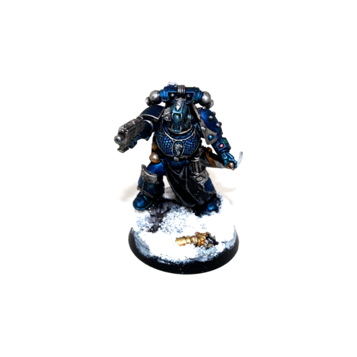 Warhammer Space Marines Praetor Well Painted A1