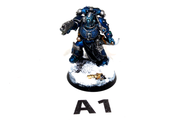 Warhammer Space Marines Praetor Well Painted A1