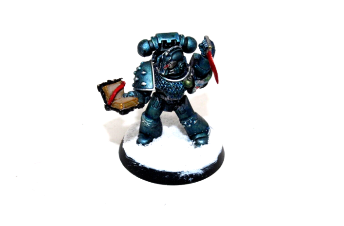 Warhammer Space Marines Tactical Marine Well Painted A1