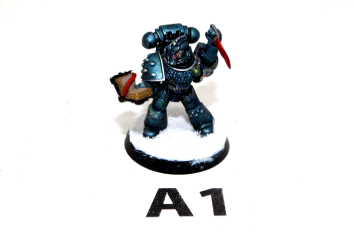 Warhammer Space Marines Tactical Marine Well Painted A1