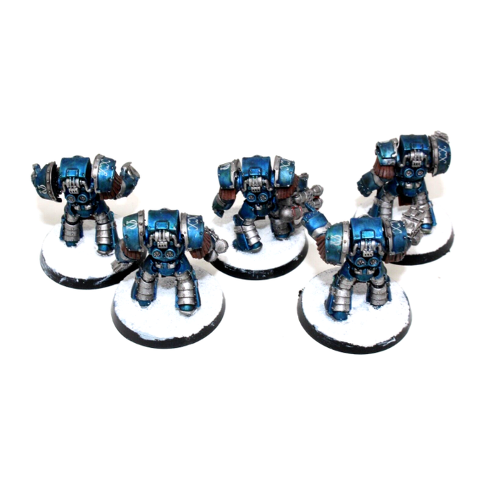 Warhammer Space Marines Terminators Well Painted A1