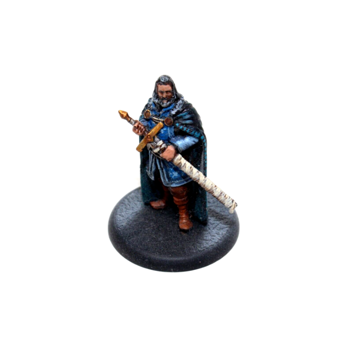 A Song of Ice and Fire Hero Well Painted A12 - Tistaminis