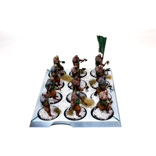 A Song of Ice and Fire Stark Umber Berserkers Well Painted A13 - Tistaminis