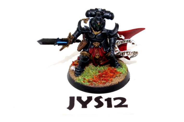 Warhammer Space Marines Primaris Captain Custom Well Painted JYS12