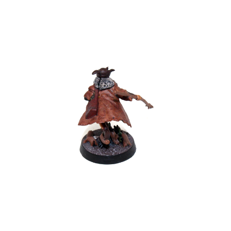 Warhammer Lord of the Rings Radagast the Brown - A40