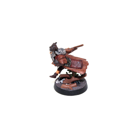 Warhammer Lord of the Rings Radagast the Brown - A40