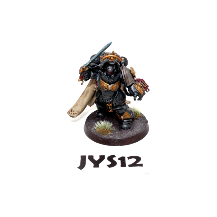 Warhammer Space Marines Primaris Captain Well Painted JYS12