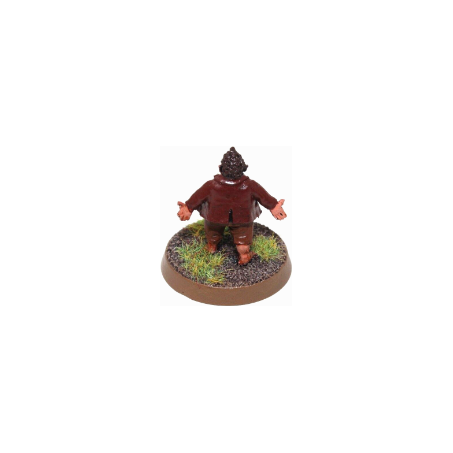 Warhammer Lord of the Rings Hobbit Metal Well Painted - JYS1