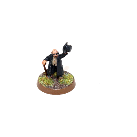 Warhammer Lord of the Rings Hobbit Metal Well Painted - JYS1