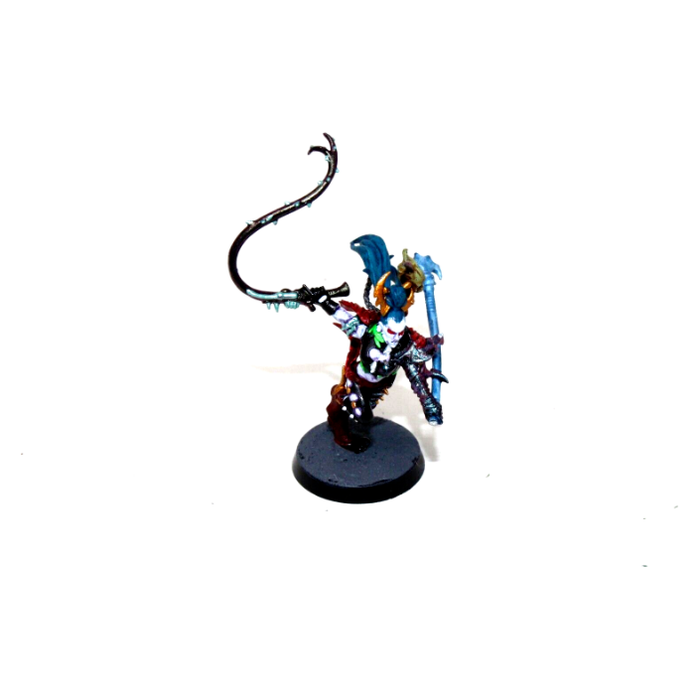 Warhammer Dark Eldar Succubus Well Painted A4