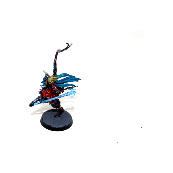 Warhammer Dark Eldar Succubus Well Painted A4