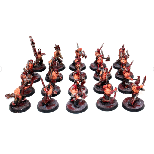 Warhammer Warriors of Chaos Blood Reavers Well Painted JYS63 - Tistaminis