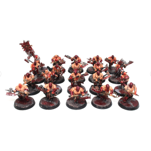 Warhammer Warriors of Chaos Blood Reavers Well Painted JYS66 - Tistaminis