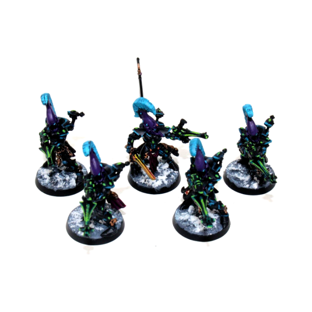 Warhammer Eldar Dire Avengers Well Painted JYS44