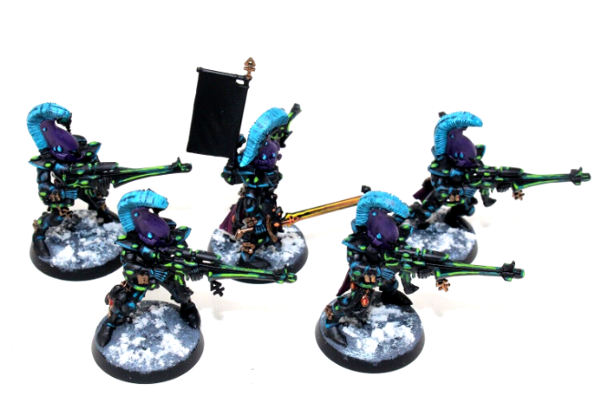 Warhammer Eldar Dire Avengers Well Painted JYS44