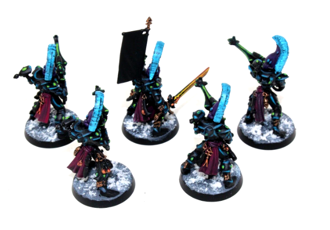 Warhammer Eldar Dire Avengers Well Painted JYS44