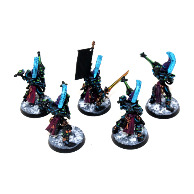 Warhammer Eldar Dire Avengers Well Painted JYS44