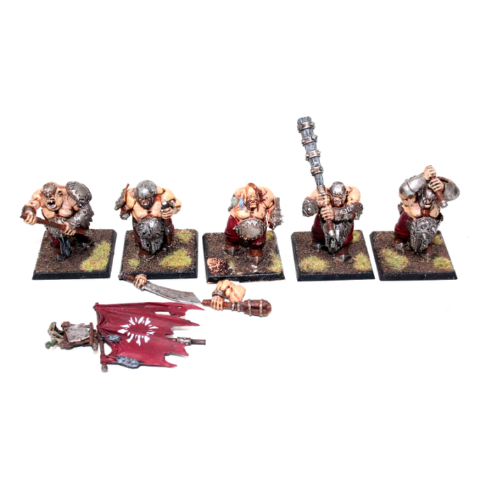 Warhammer Ogre Kingdoms Ironguts Well Painted JYS8